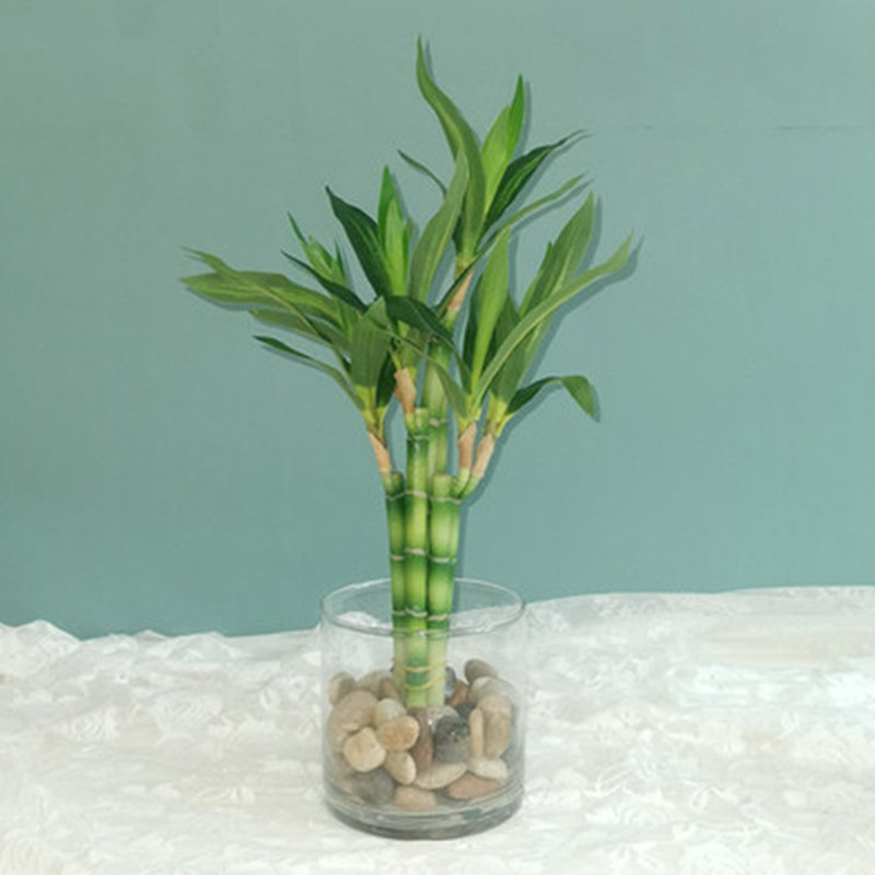 Desk Setup Plants - نبات البامبو الصناعي الجديد بطول 40