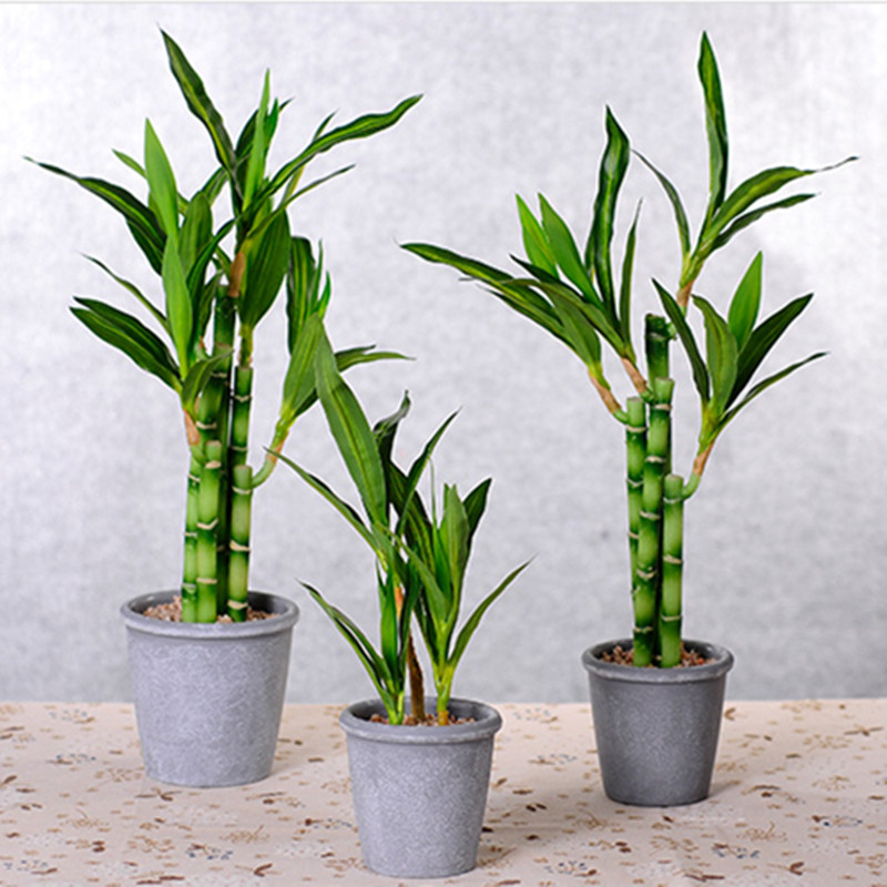 نبات البامبو الصناعي الجديد بط - مراجعة Desk Setup Plants وسعره