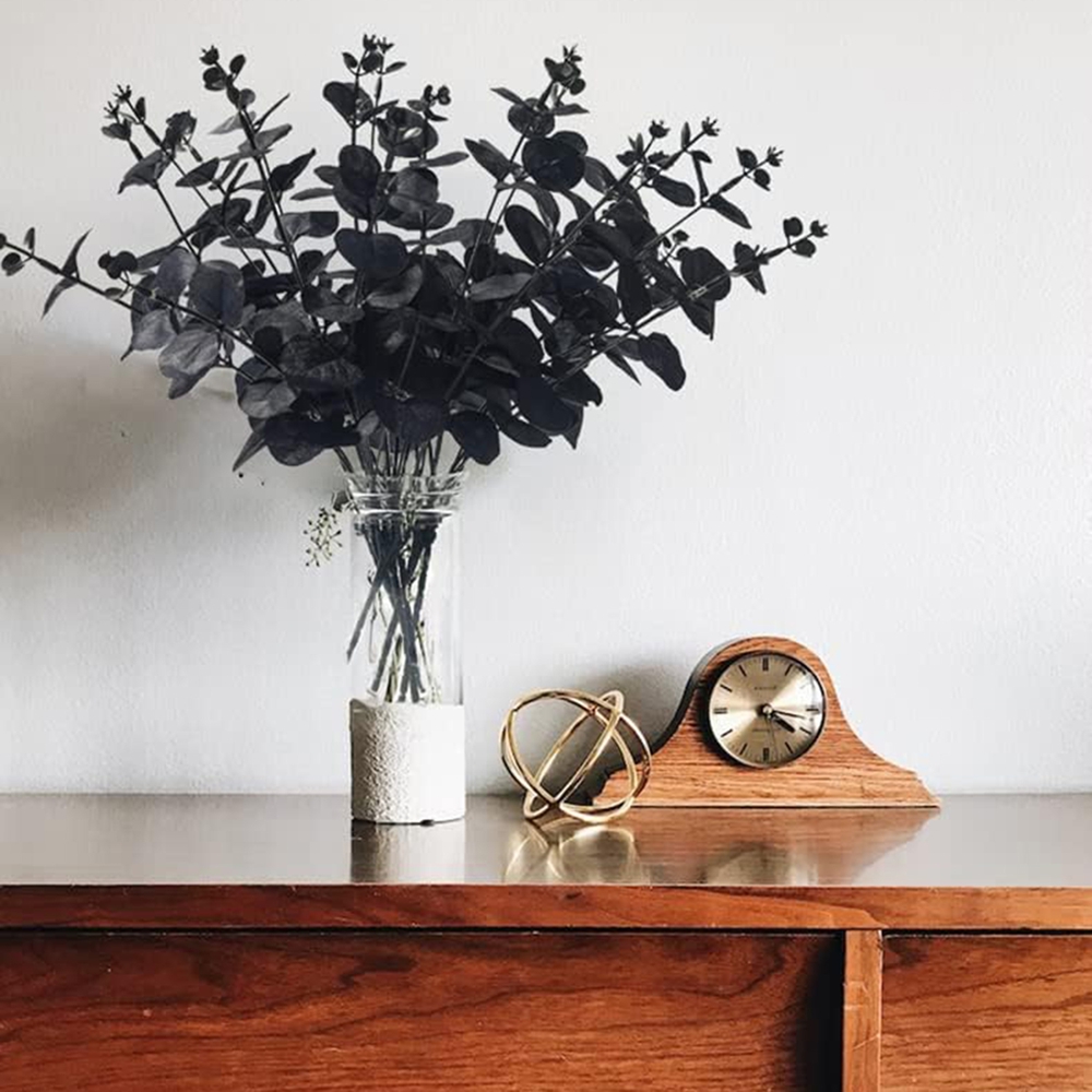 4 أغصان من أوراق المال، نباتات - مراجعة Desk Setup Plants وسعره