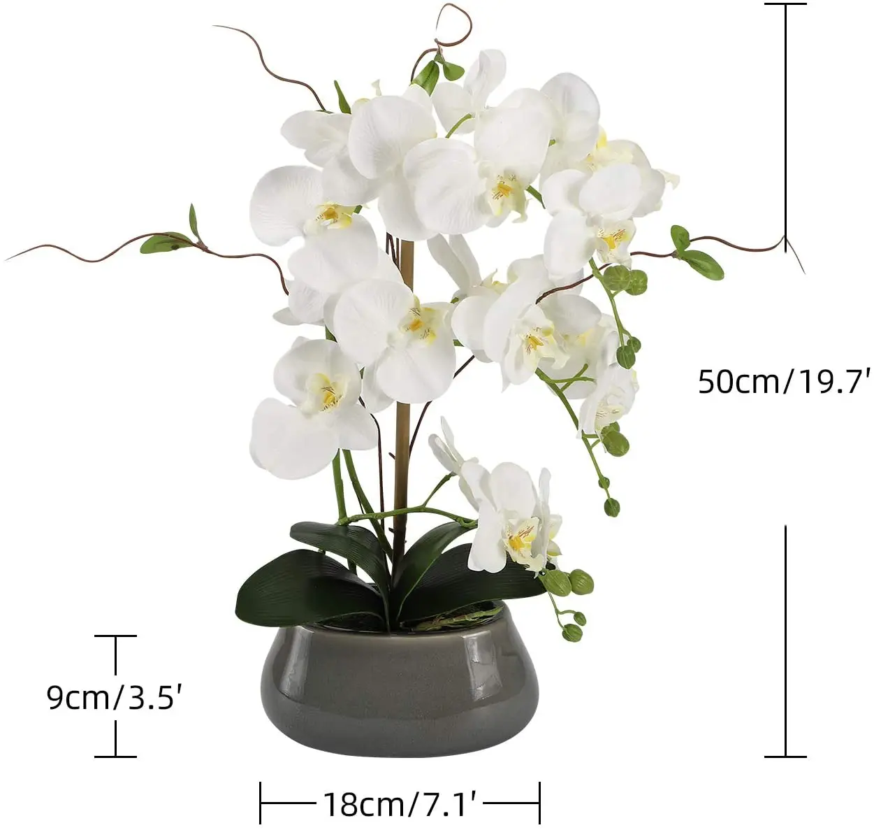 زهور الأوركيد الاصطناعية المرك - مراجعة Desk Setup Plants وسعره