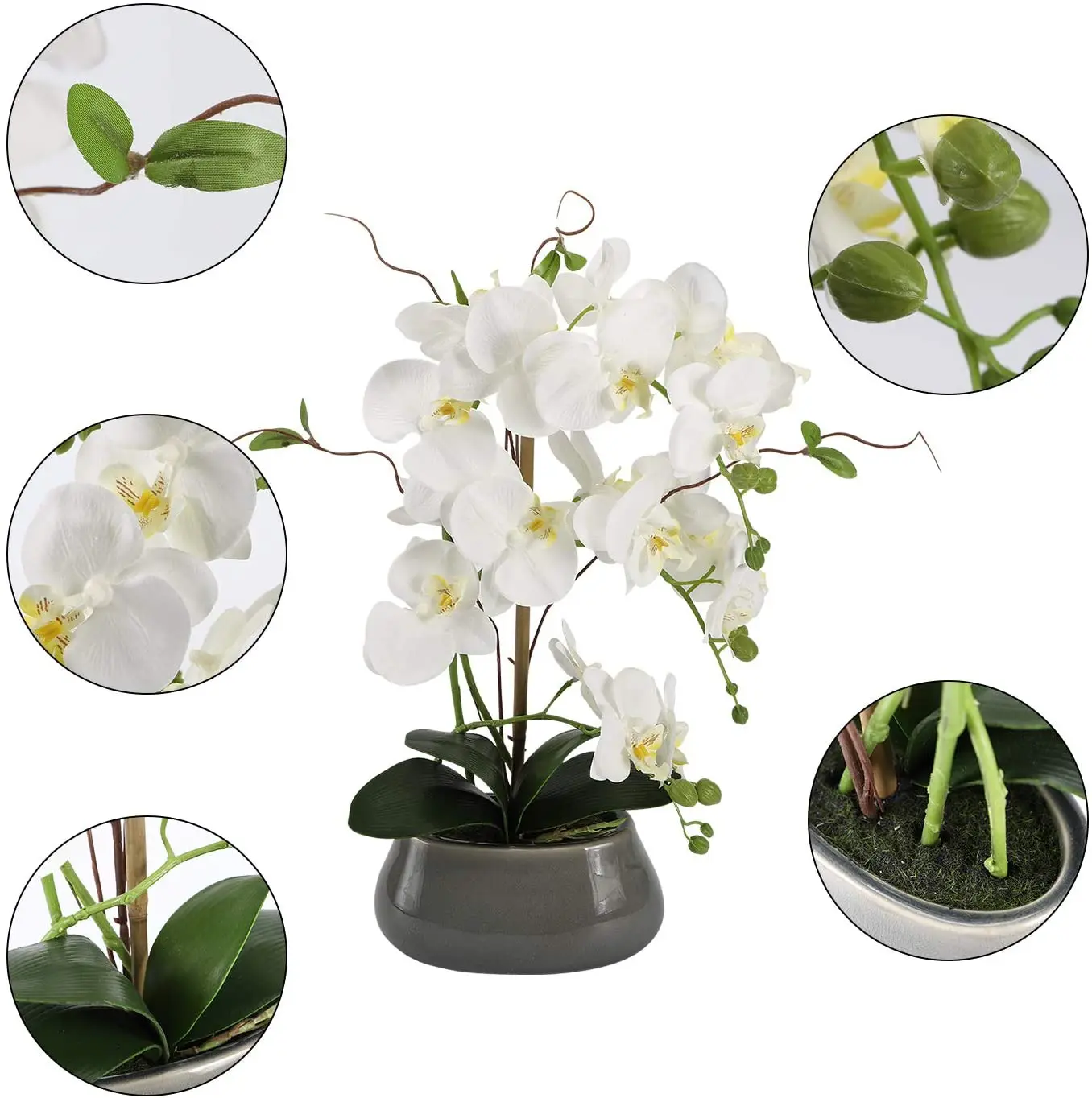 زهور الأوركيد الاصطناعية المرك - مراجعة Desk Setup Plants وسعره
