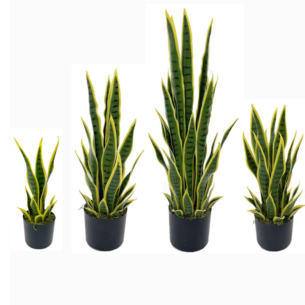 نبات السانسيفيريا الاصطناعي بط - مراجعة Desk Setup Plants وسعره