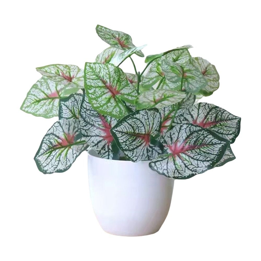 زهور اصطناعية صغيرة في أواني،  - مراجعة Desk Setup Plants وسعره