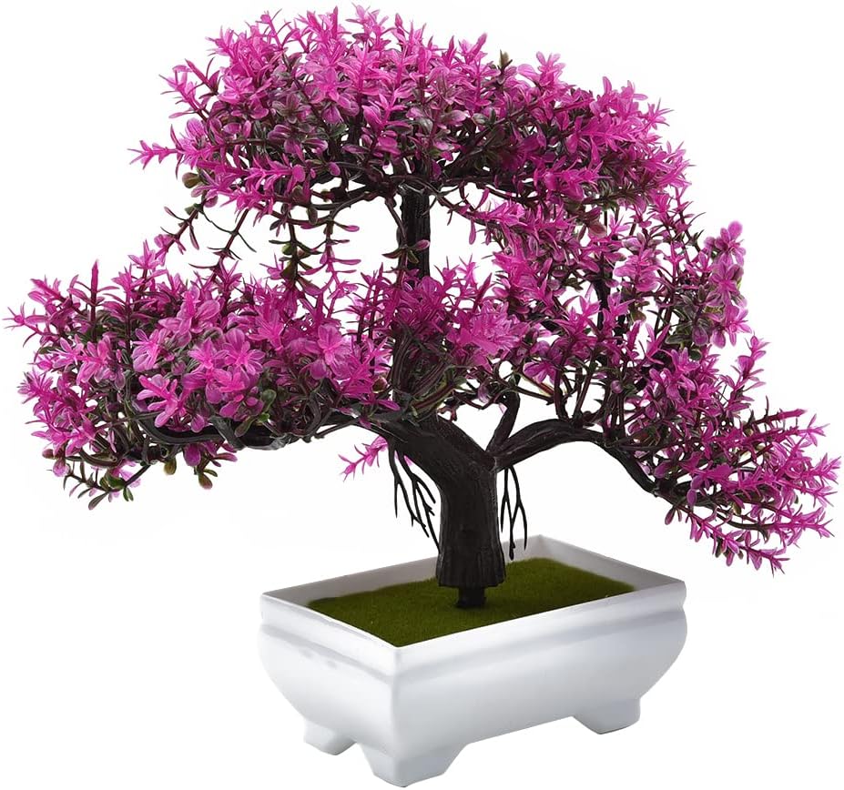 نباتات اصطناعية بونساي نبات صن - مراجعة Desk Setup Plants وسعره